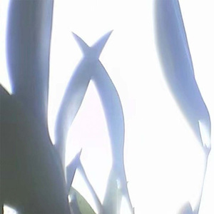 断片(街头招式beat1)