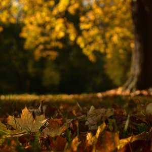 힐링을 위한 바람소리