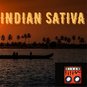 Indian Sativa