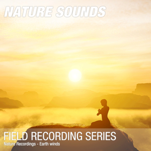 Nature Sounds for Sleep, Relaxation & Meditation (Calming wind sounds) 09