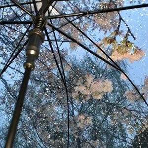 你陪着我的那些时光