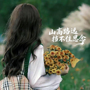 山高路远挡不住思念