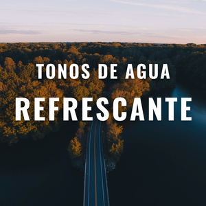 Charco Tranquilo Y Húmedo