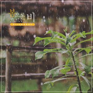 봄으로 흐르는 비