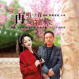 再唱一首爱你的歌 DJ