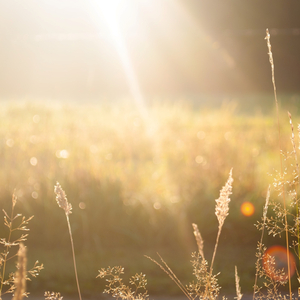 당신의 행복을 기도해요