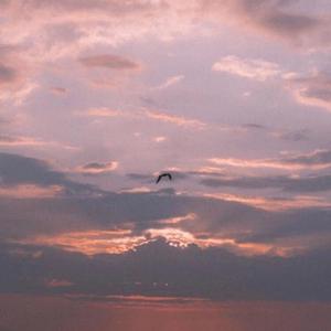 BVL(BeverlyMusic)-don‘t cry（Boss kid remix）