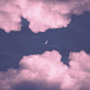 总有一天我会欺骗你