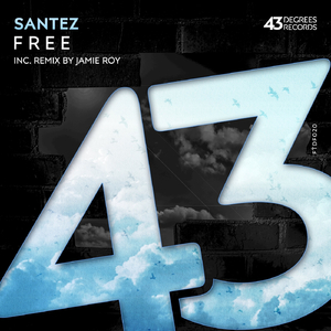 Free (Jamie Roy Remix)