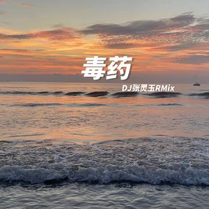 周星星-毒药 DJ张灵玉RMix