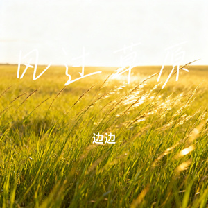 风过草原