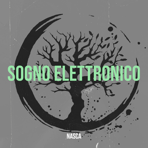 SOGNO ELETTRONICO