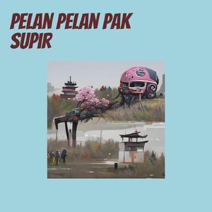 Pelan Pelan Pak Sopir