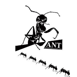 蚂蚁