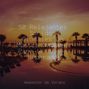 Armonioso Deriva de Serenidad