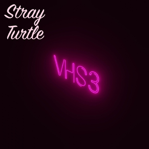 Cybernetic Stray Turtle