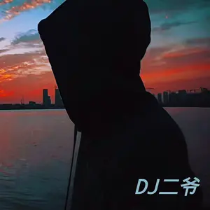 言不由衷 (DJ版)