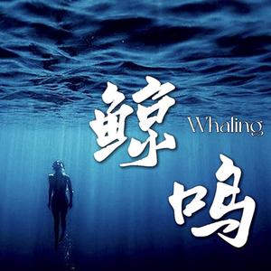鲸鸣。