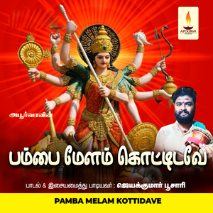 Paavadai Raayanodu