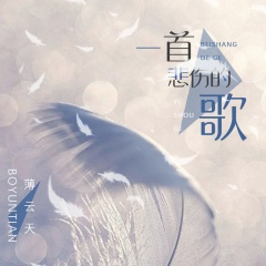 一首悲伤的歌 (DJ版)