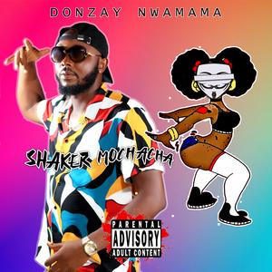 Amapiano shaker mochacha