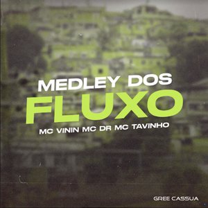 Medley dos Fluxo (feat. MC Tavinho)