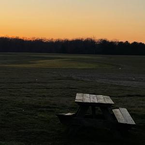 Solitude