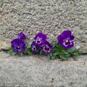 We Were Made for Now