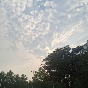 映朱阁 伴奏