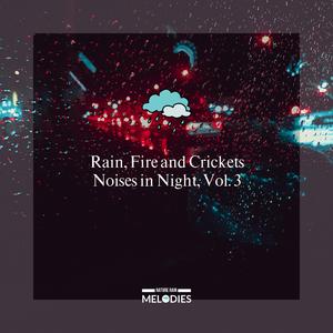 Energizing Night Crickets