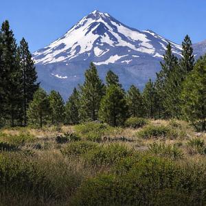 Mt. Shasta