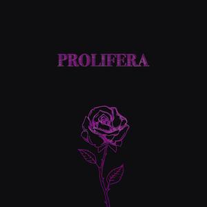 Prolifera