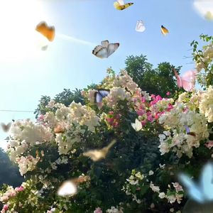 不行（纯音乐）