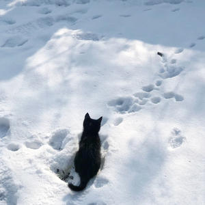 雪 Distance