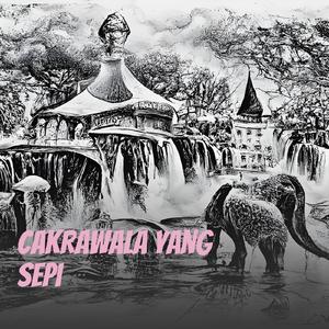 Cakrawala Yang Sepi