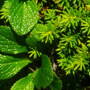 it can all happen at once