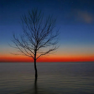 安眠曲5分钟入睡必听