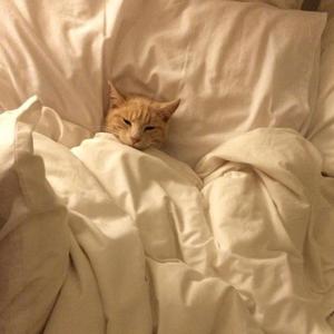 Wish You Were Gay (Instrumental)