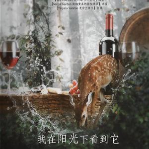 我在阳光下看到它（翻自 昭宥 / Junggigo / Lil Boi）