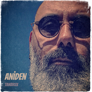 Aniden