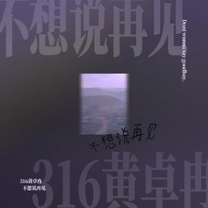 不想说再见