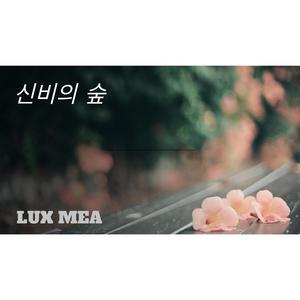 신비의 숲