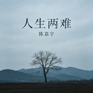 人生两难