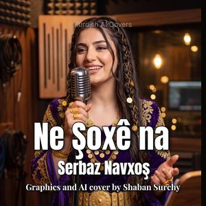 Şoxê na