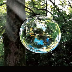 每一朵花都在舞蹈