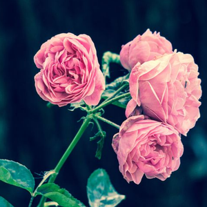 ＂噩梦＂Boombap/Freestyle/Diss Type Beat