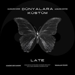 Dünyalara küstüm