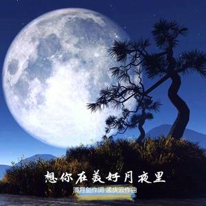 想你在美好月夜里