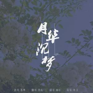 月华沉梦