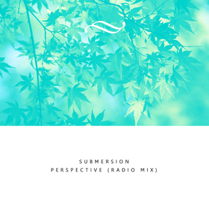 Perspective (Radio Mix)